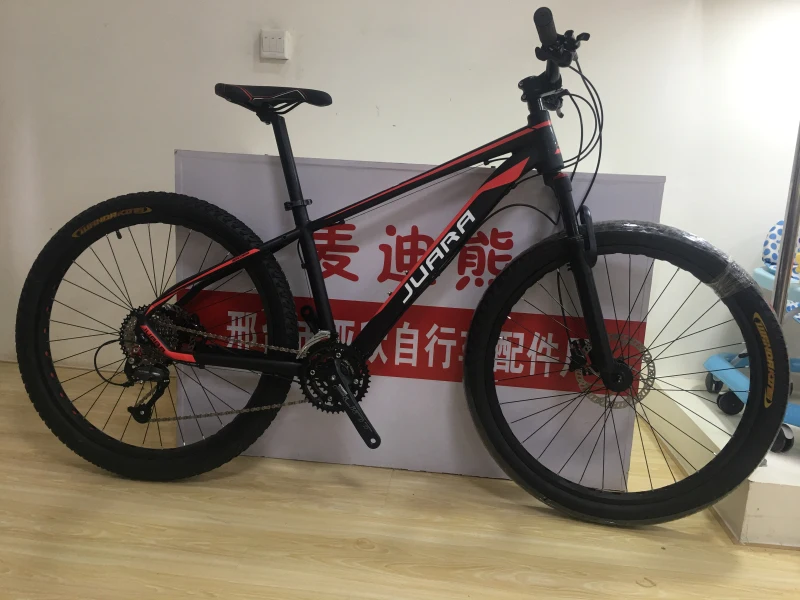 new mtb 2019