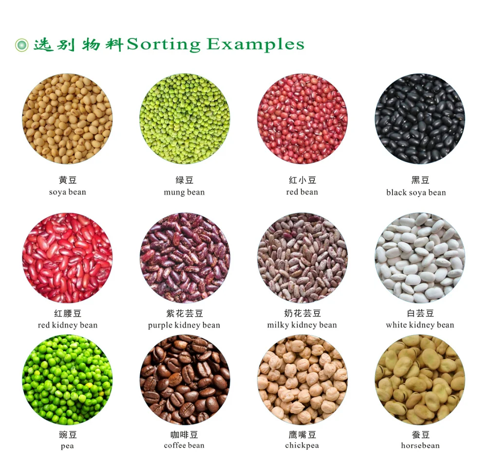 Types of Beans. Крупы сорт и цвет. Виды Bean. Цианофициновые зерна цвет.