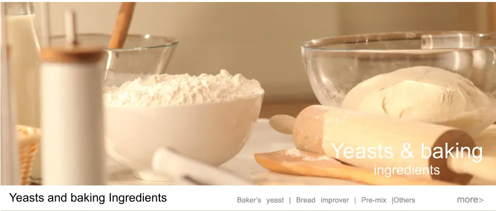 Angel Yeast Co Ltd Yeast Yeast Extract Food Additive
