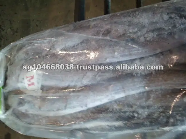 2011-12-20 09.34.14.jpg