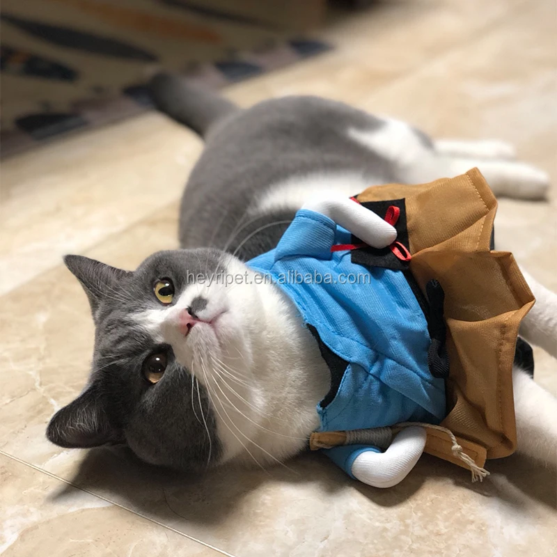 cat costumes3.jpg
