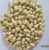 raw peanut use for chocolate coated peanut