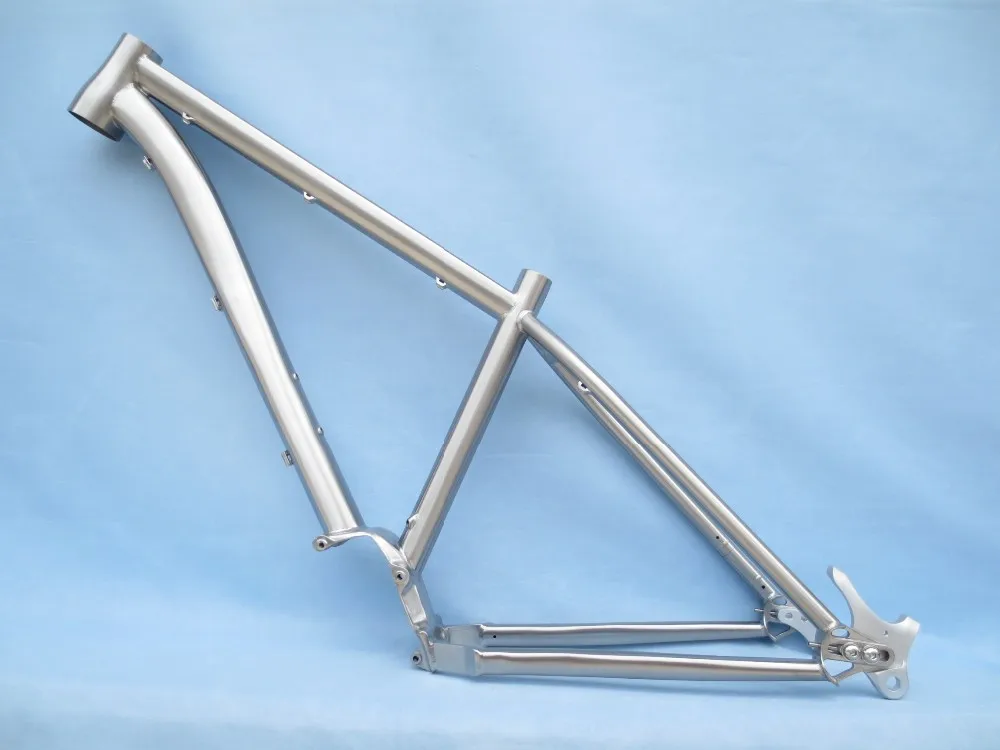 pinion mtb frame