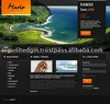internet service