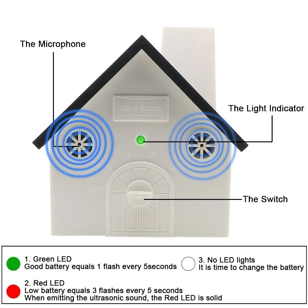 eileen ultasonic.jpg