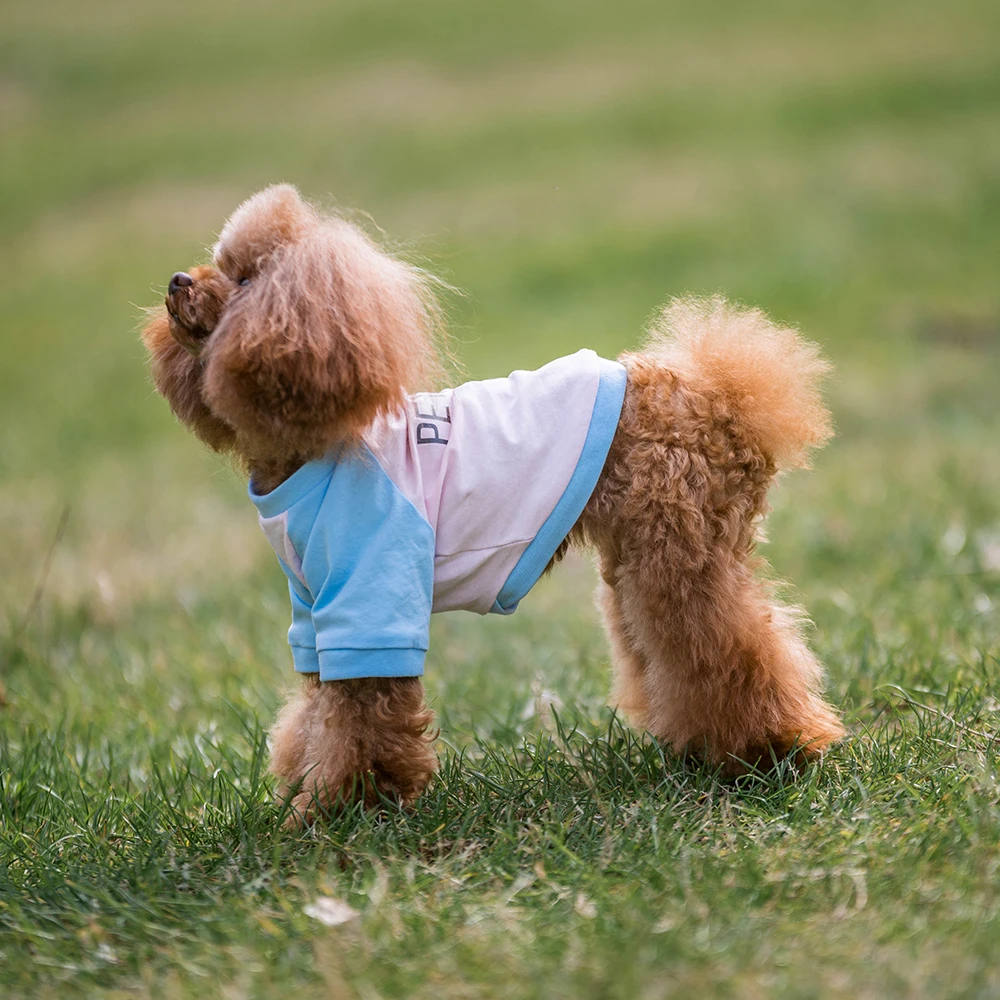 high quality dog clothes