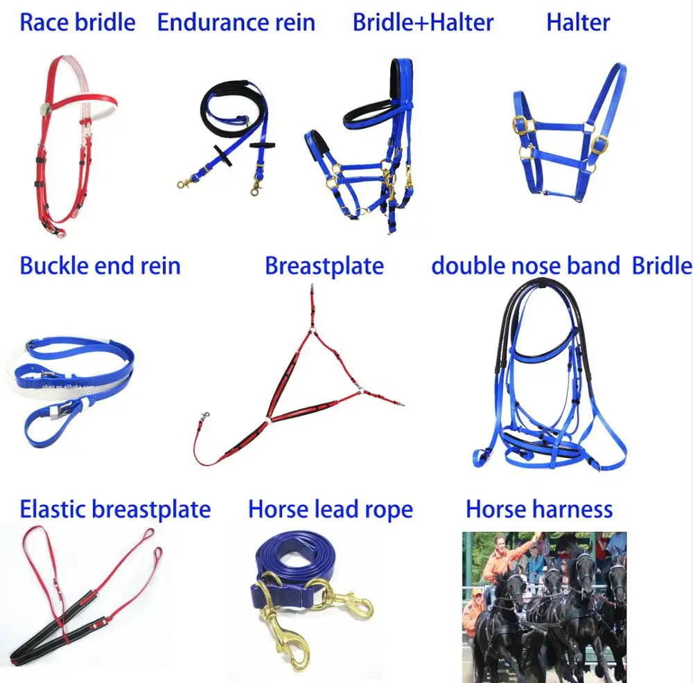 Horse Equipment pvc endurance horse bridles