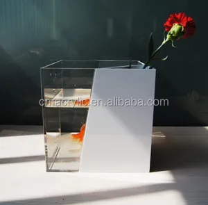 62 Koleksi Aquarium Divider Design Terbaik