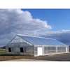 DongJu1200 Singlespan Standard Wide Span Polycarbonate Greenhouse