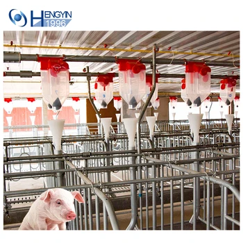 Pig Farming Equipment Low Price Of Best Selling Poultry Feeding System 