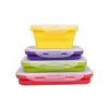 Factory natural silicone foldable lunch box bread beef storage collapsible lunch box