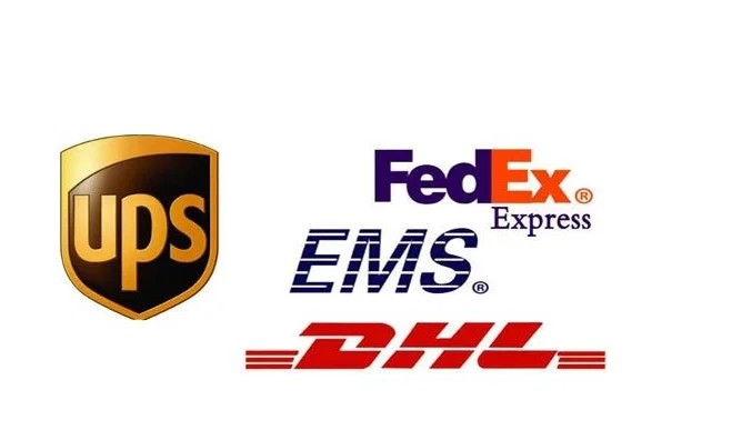 paste-pic-dp_uuid_btjid