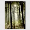 Beautiful Picturesque photo of a sunshine in the Deep forest full of trees, Modern art oil painting for home decor free shipping