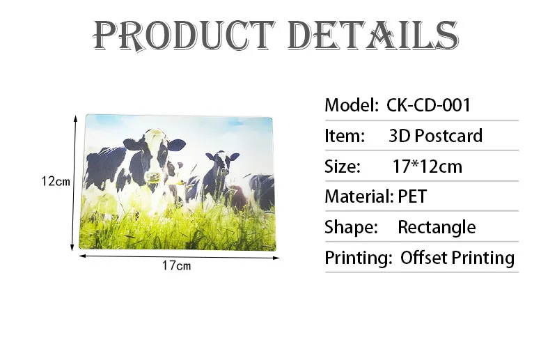 postcard06 Details.jpg