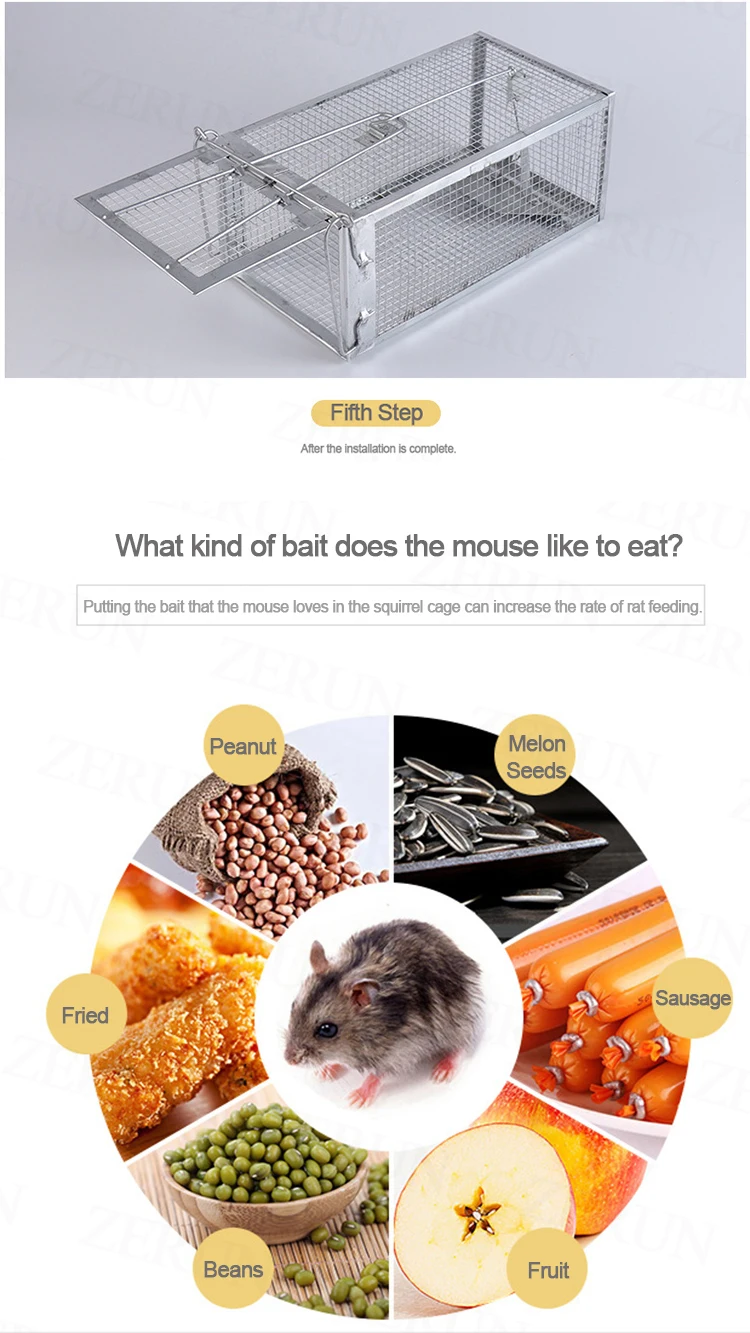 Mouse Collapsible Live Catch Cage Traps Animal Trap Cage Pet Cgae Buy