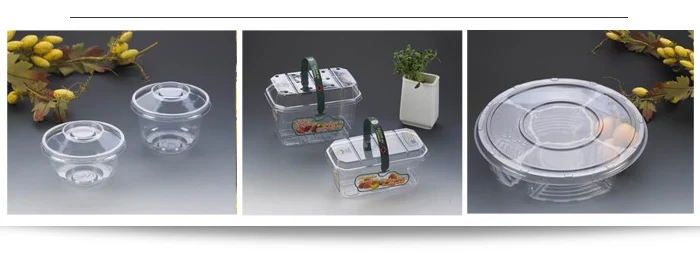 Oem Full Automatic Plastic Cup Small Pp Ps Vacuum Forming Thermoforming Machine