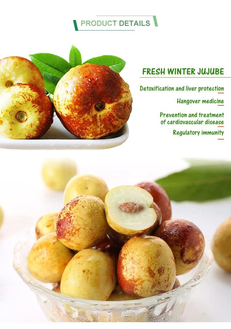 chinese 80% maturity sweet juicy fresh winter jujube
