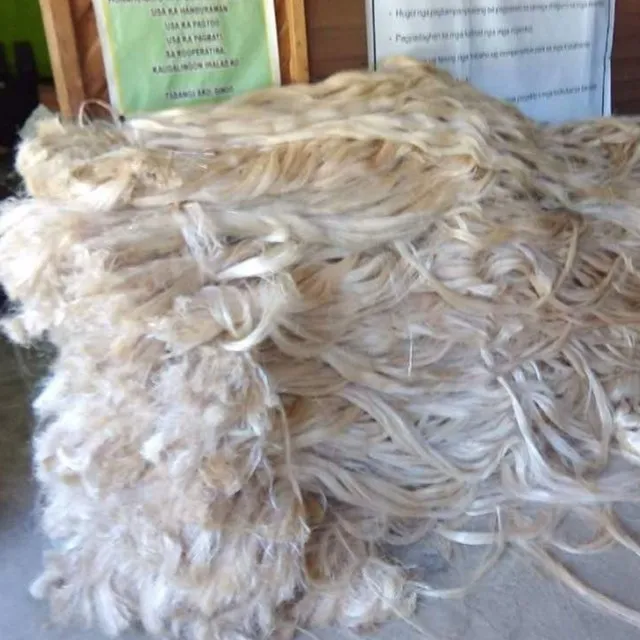 Philippine Made Abaca Fiber S2 Grade Used For Special Paper Making Or