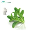 100% Natural Stevia Extract SG95%/RA 40%