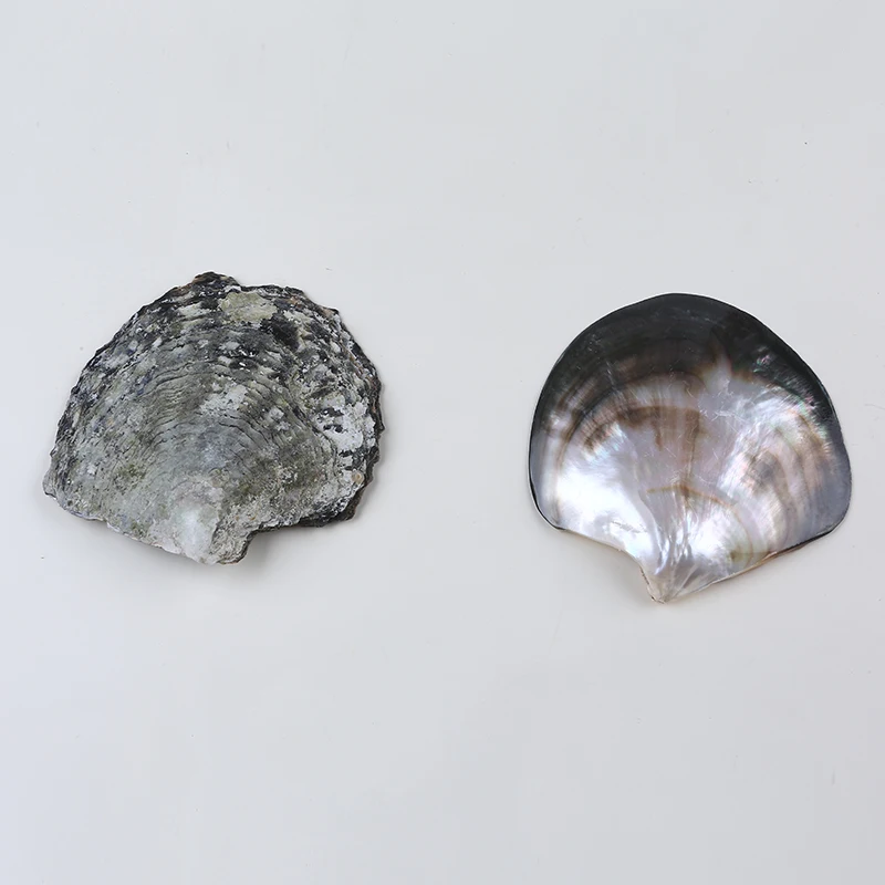 TW6A8912.jpg