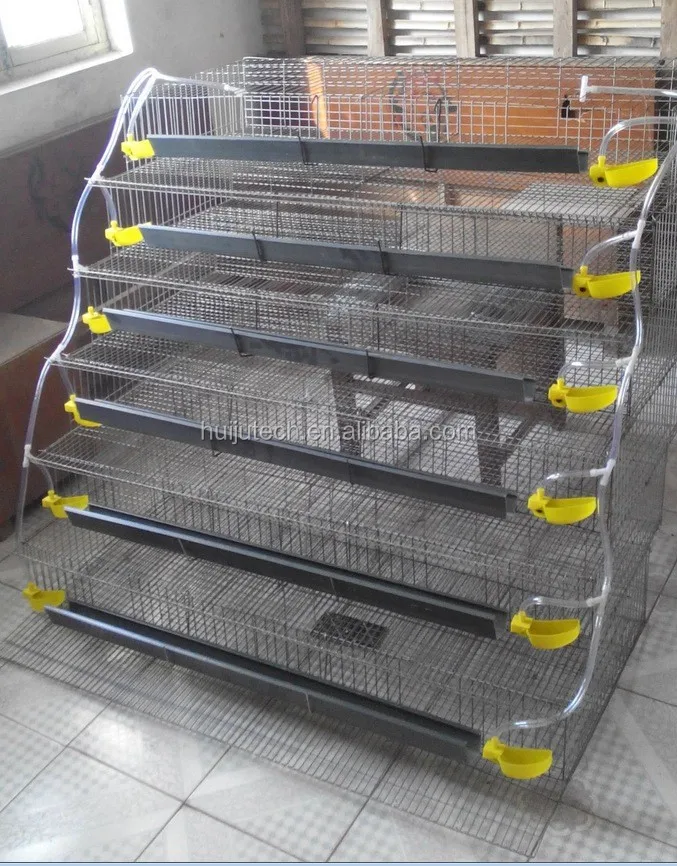 Advanced Equipment Of Quail Cage For 400 Quail /quail Farm Equipment