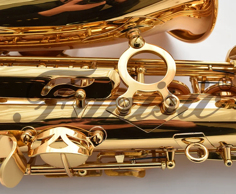 Good Sale Cheap Chinese Alto Saxophones/sax Buy Good Sale Alto