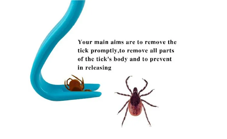 best tick removal for dogs