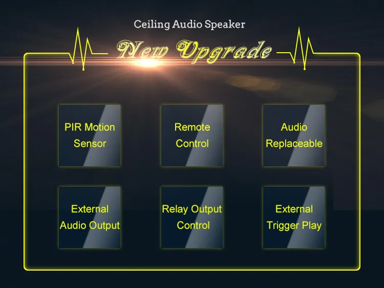 in ceiling speaker (3)