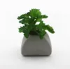 /product-detail/hot-selling-mini-succulent-potted-plants-used-to-decorate-artificial-cement-succulent-flower-arrangements-62142370210.html