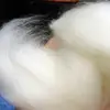 100% dehaired raw pashmina wool material