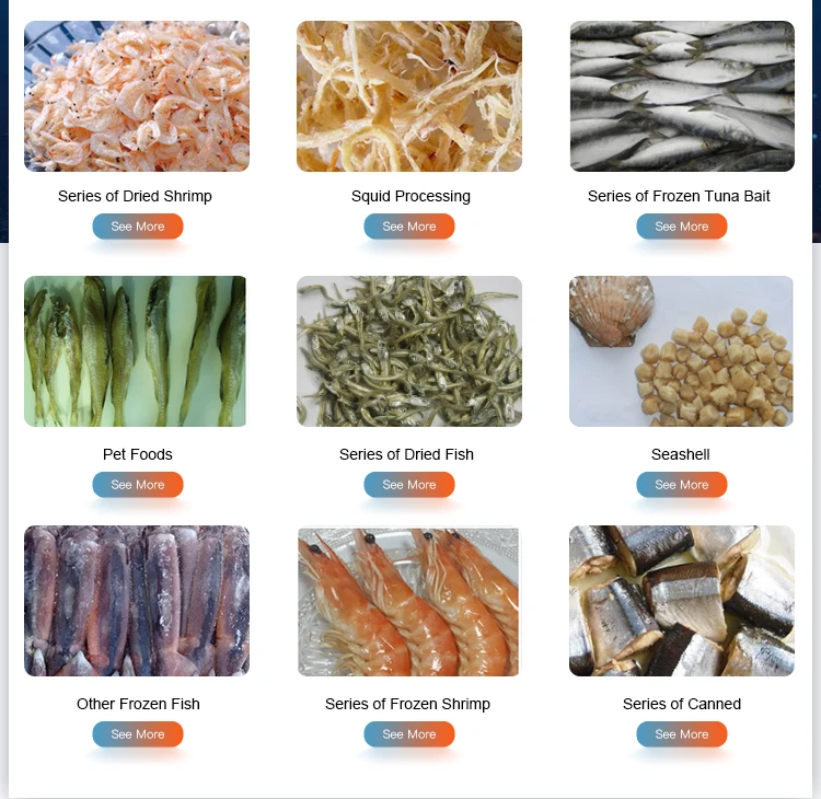 mackerel fish