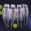 Fresh water poulp squid frozen giant leg