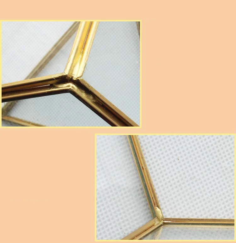 Terrarium Geometric 2.jpg