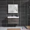 high quality small size bathroom wall mounted cabinet with mirror cabinet