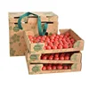 OEM strawberry corrugated box packaging