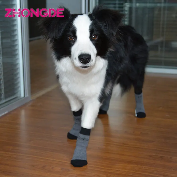 pet dog socks