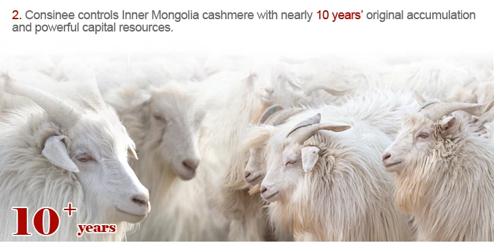 Dyed for your own colors Consinee brand custom dye cashmere yarn