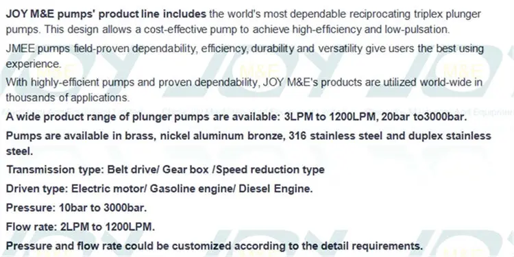 1 joymande pumps.jpg