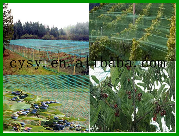 Extra Cover Net For Nylon Anti Bird Nettting Fruit Tree Netting Extra Cover Net For Nylon Anti Bird Nettting Fruit Tree Netting Protection