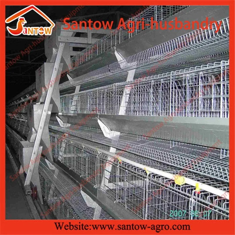 A type 4 tier chicken battrey layer cages poultry farm for africa market