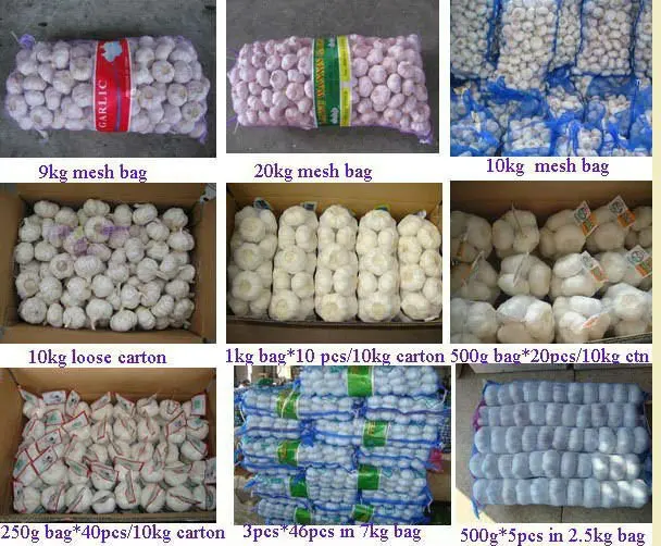 garlic.jpg