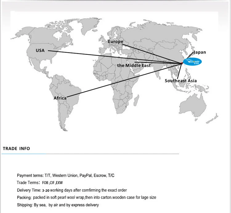 20inch Aluminum alloy frame folding electric bicycle 36V 250W electric foldable bike