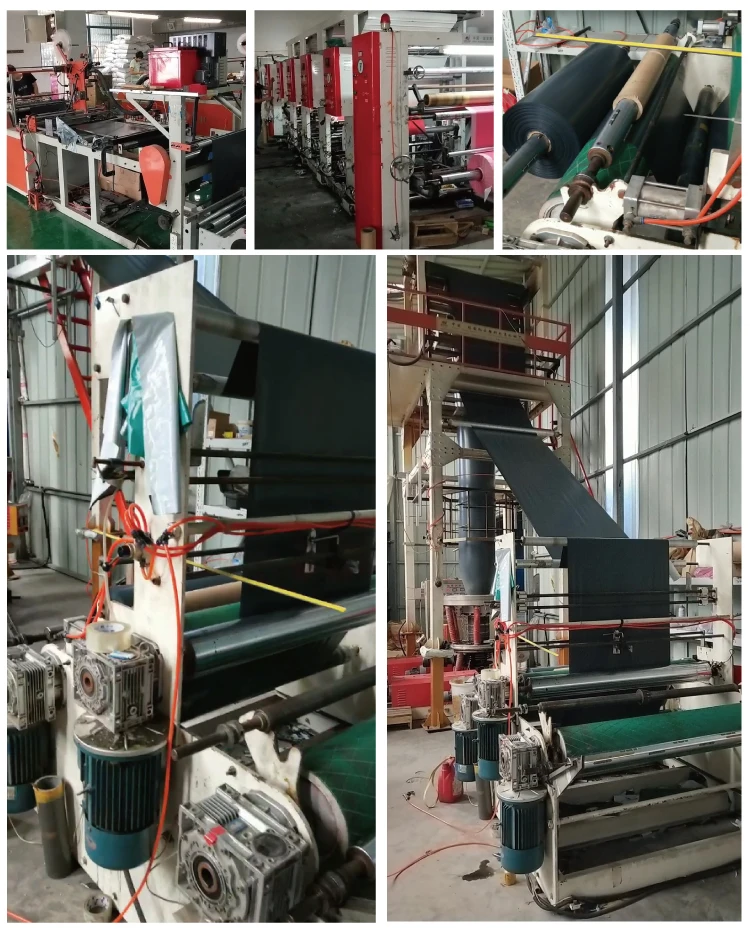 custom poly mailer 
