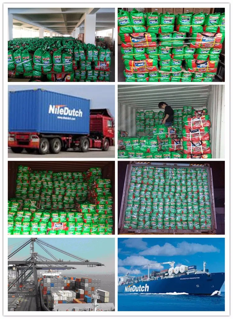 supply 12 hours paper mosquito coil, unbreakable and Micro Smoke plant fiber mosquito coil from Factory