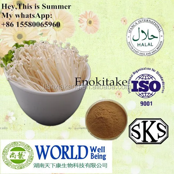 hot sales enoki mushroom extract/needle mushroom extract