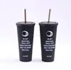 BB005 Promotional plastic cup with lid coffee mugs straw double wall cup