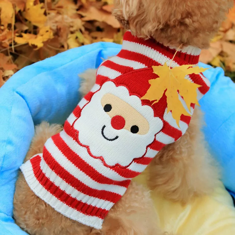 sata dog sweater1