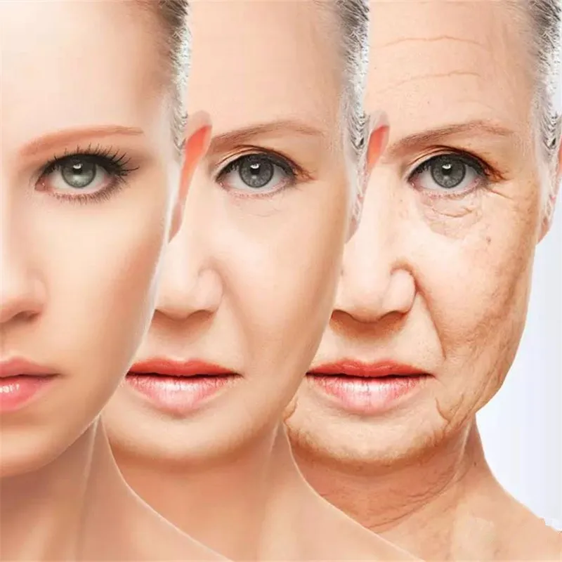 Type 1 and 3 Collagen