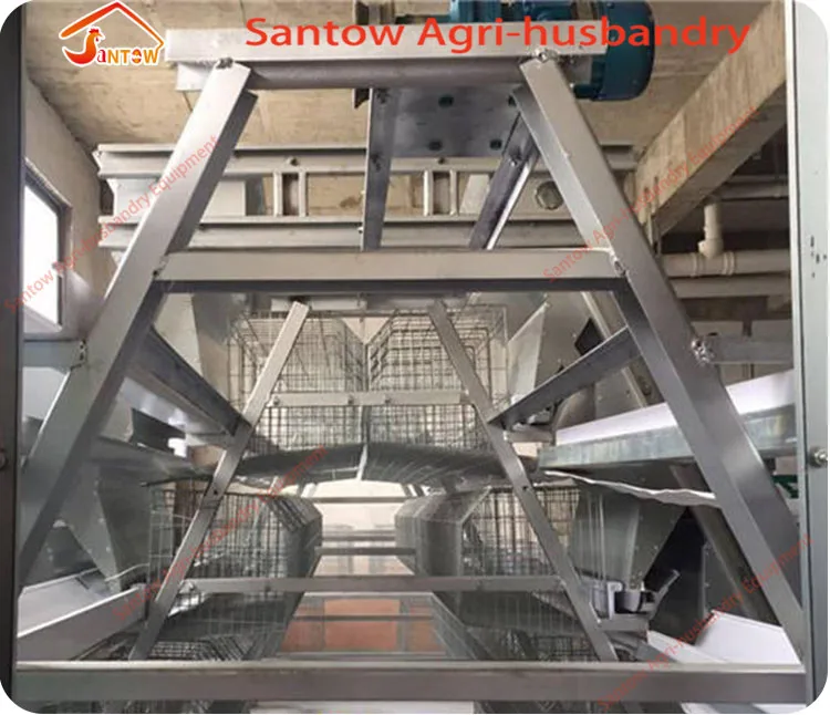 Hot Galvanized Chicken Poultry Cages Cold Galvanized Chicken Layer Cage Best Quality For Sale Nigeria Africa