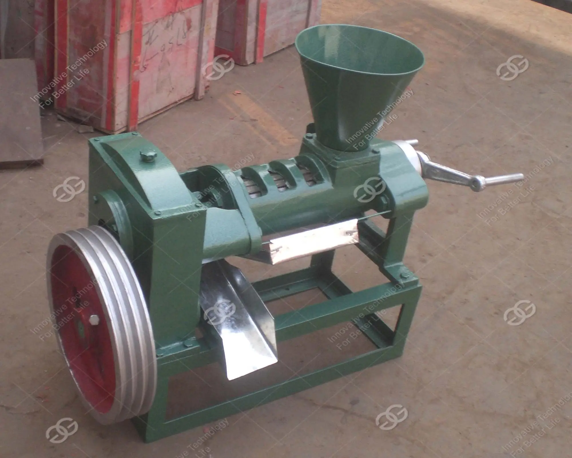 Factory Price Canola Animal Fat Jatropha Herb Oil Expeller Extraction